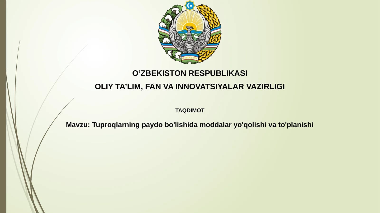Tuproqlarning paydo bo'lishi