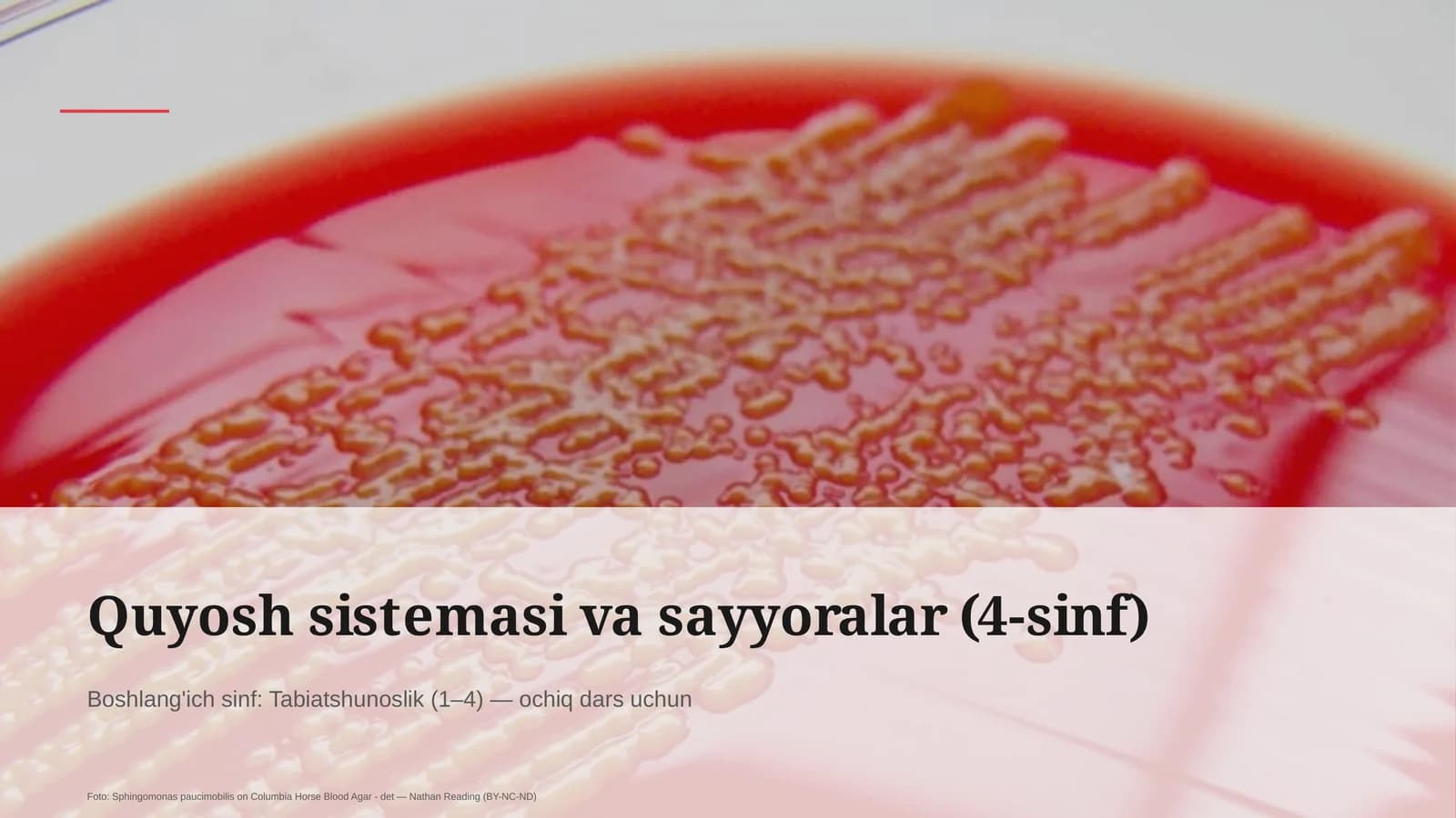 Quyosh sistemasi va sayyoralar (4-sinf)