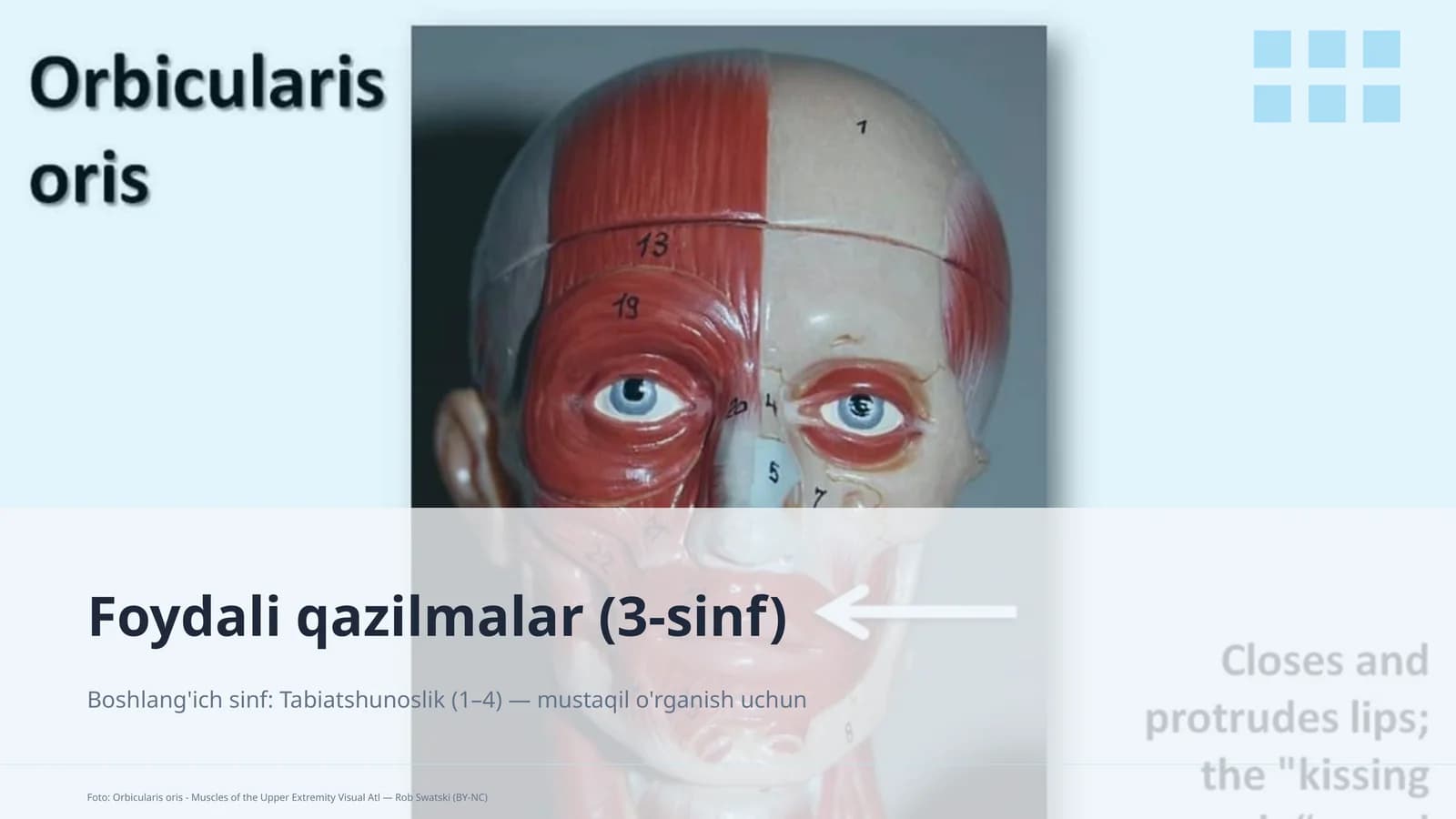 Foydali qazilmalar (3-sinf)