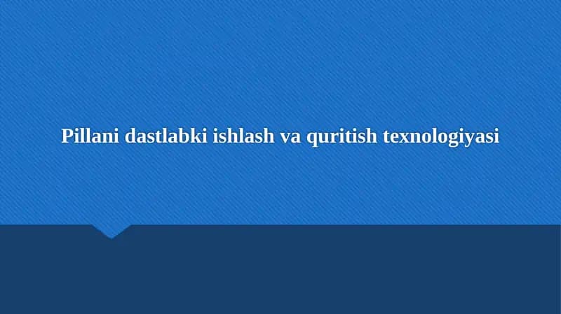 Pillani dastlabki ishlash va quritish texnologiyasi