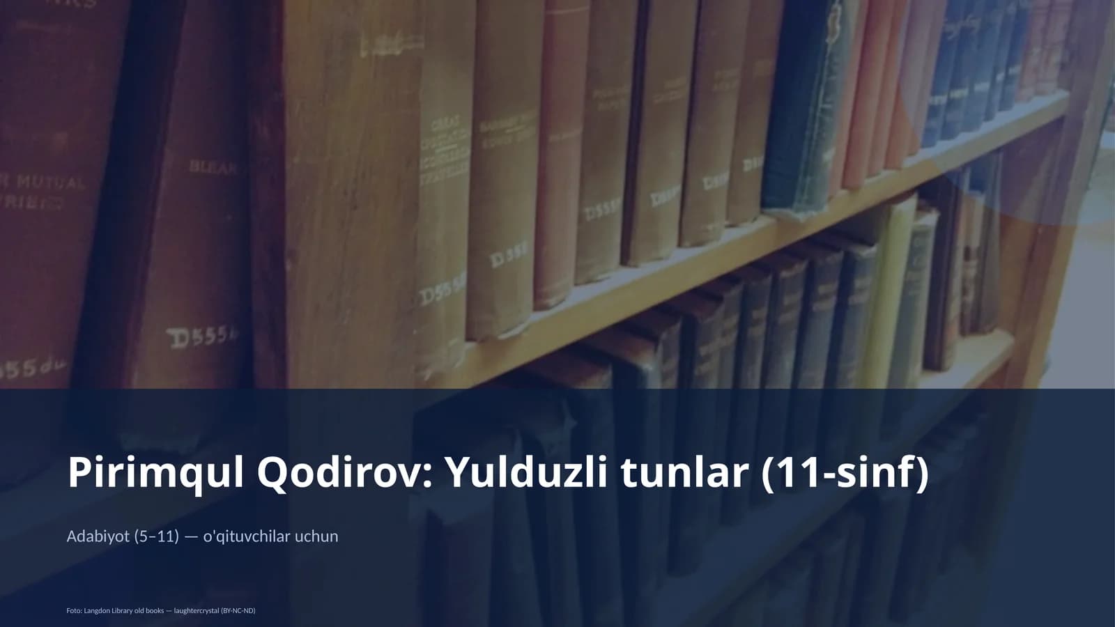 Yulduzli tunlar (11-sinf)