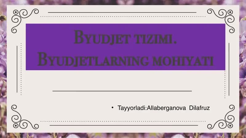 Byudjet tizimi.Byudjetlarning mohiyati.