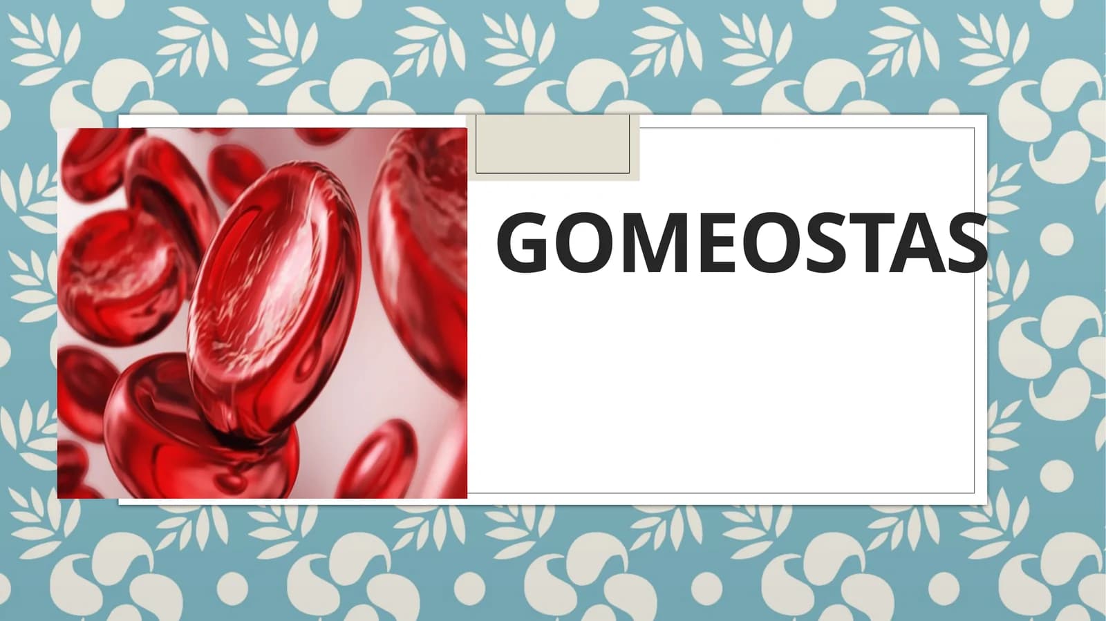 Gomeostaz