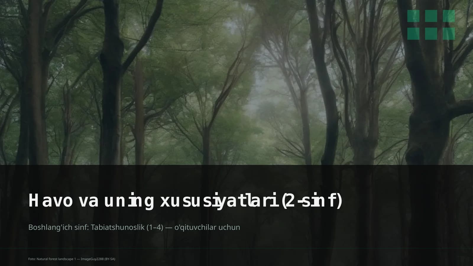 Havo va uning xususiyatlari (2-sinf)