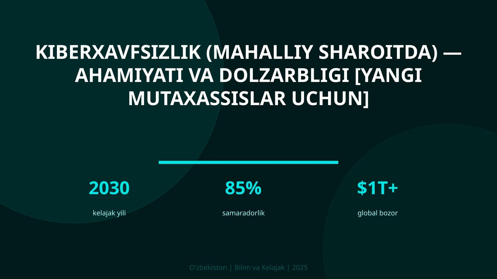 Kiberxavfsizlik (mahalliy sharoitda) — ahamiyati va dolzarbligi [yangi mutaxassislar uchun]