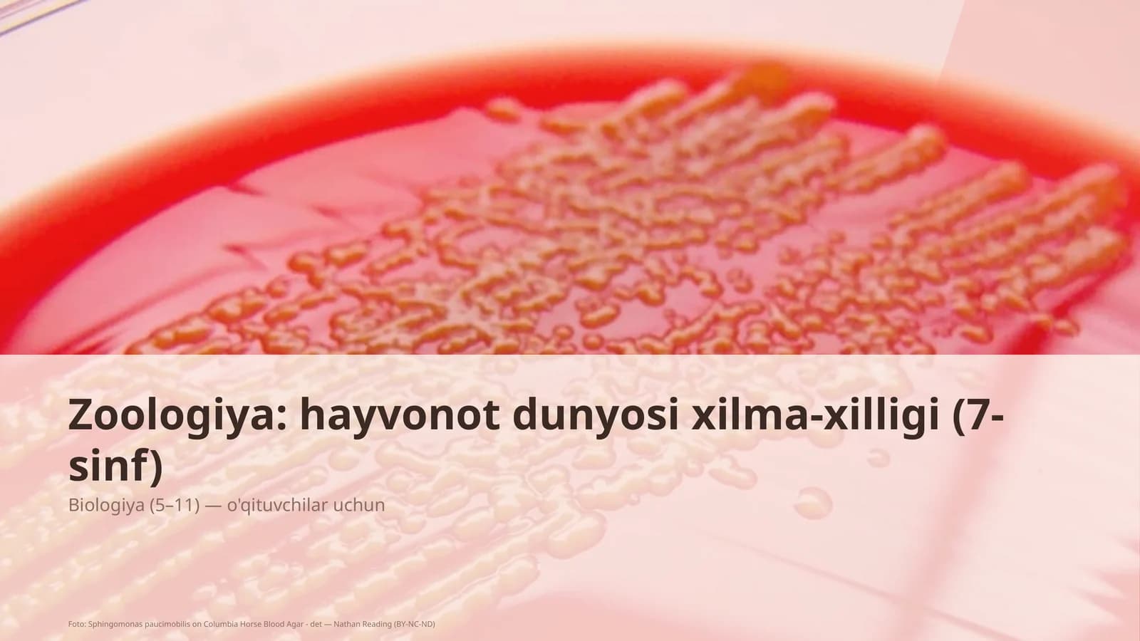 Zoologiya: hayvonot dunyosi xilma-xilligi (7-sinf)