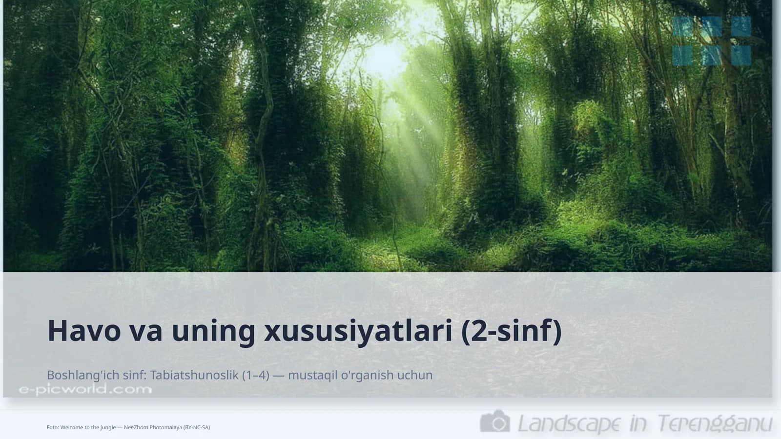 Havo va uning xususiyatlari (2-sinf)