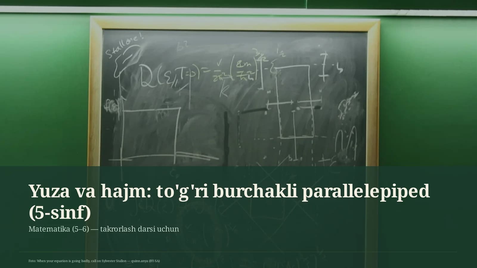Yuza va hajm: to'g'ri burchakli parallelepiped (5-sinf)