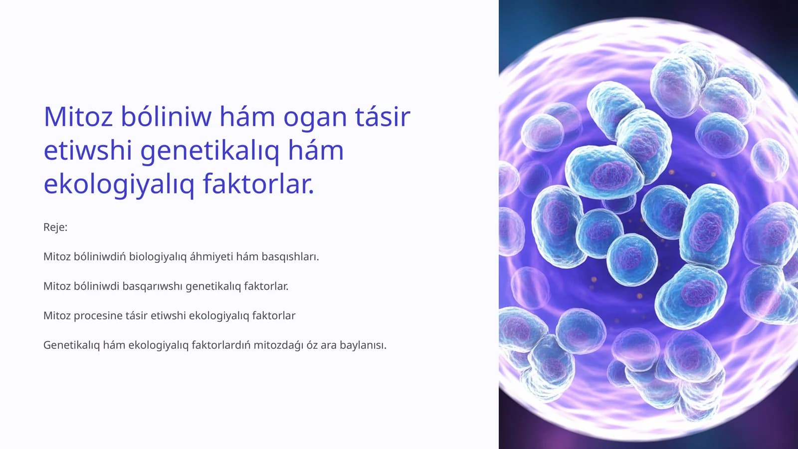 Mitoz bóliniw hám ogan tásir etiwshi genetikalıq hám ekologiyalıq faktorlar