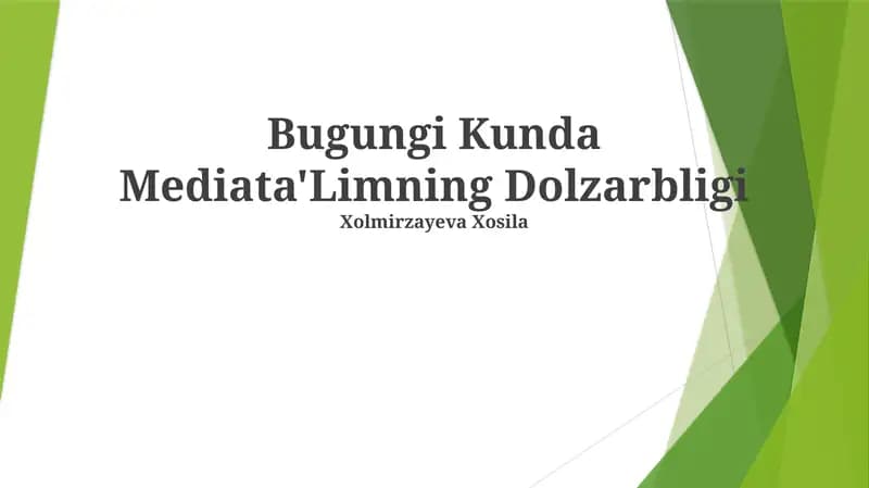 Mediata'Limning Dolzarbligi