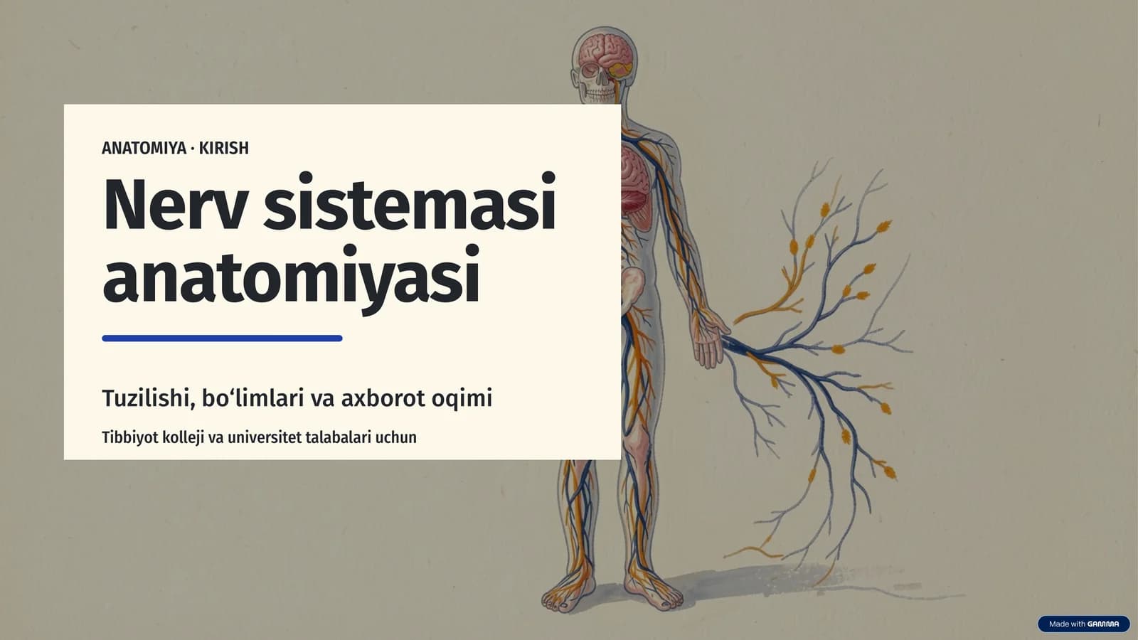 ANATOMIYA ·