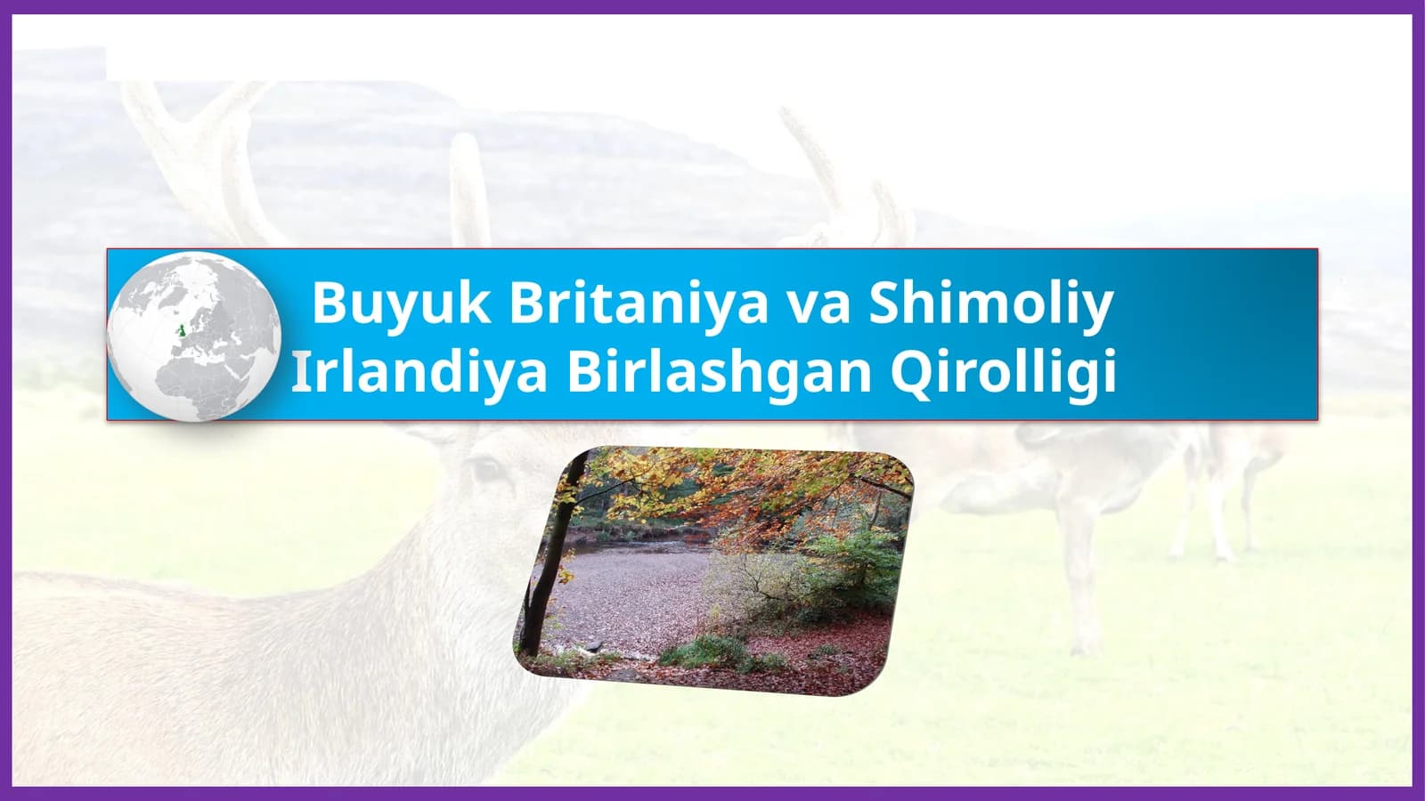 BuyukBritaniyavaShimoliyIrlandiyaBirlashganQirolligi