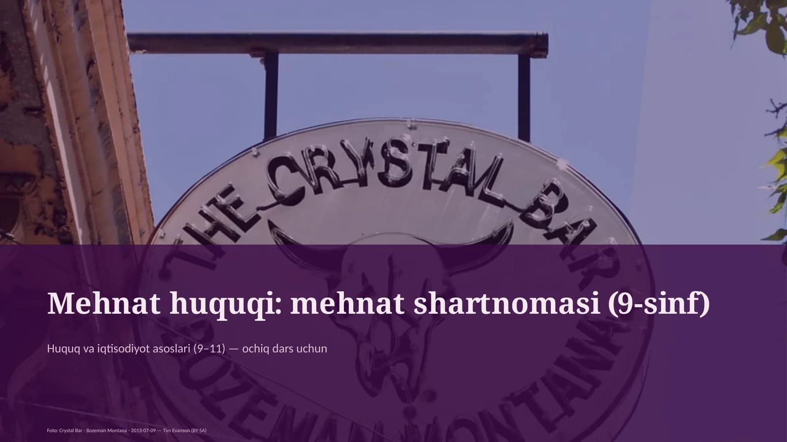 Mehnat huquqi: mehnat shartnomasi (9-sinf)