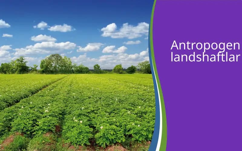 Antropogen landshaftlar