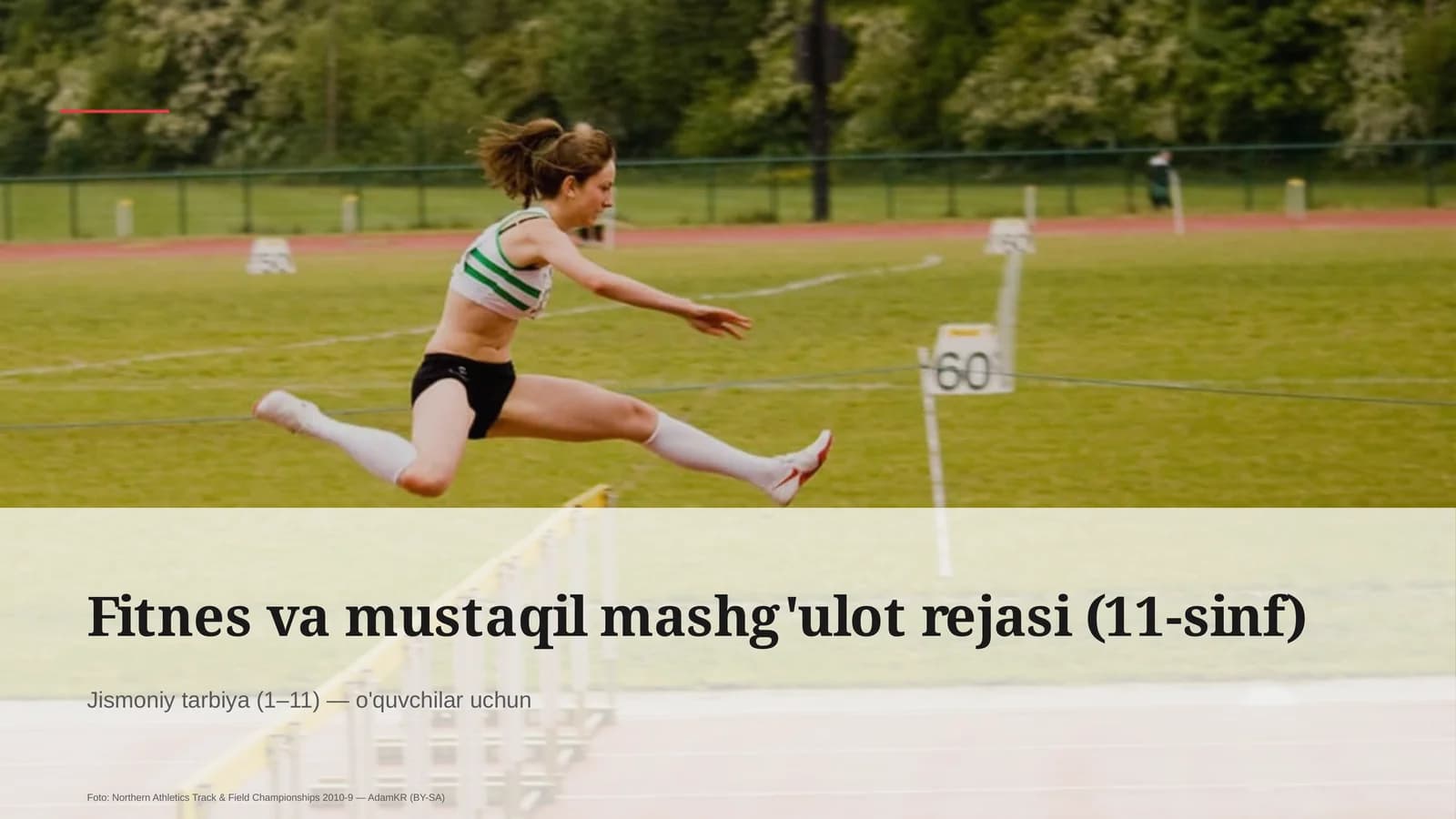 Fitnes va mustaqil mashg'ulot rejasi (11-sinf)