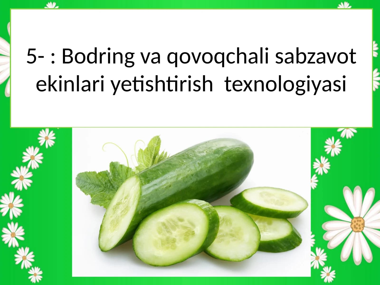 Bodring va qovoqchali sabzavot ekinlari yetishtirish texnologiyasi
