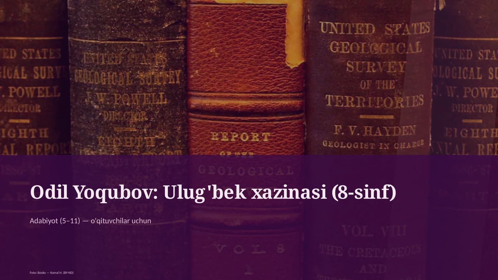 Ulug'bek xazinasi (8-sinf)