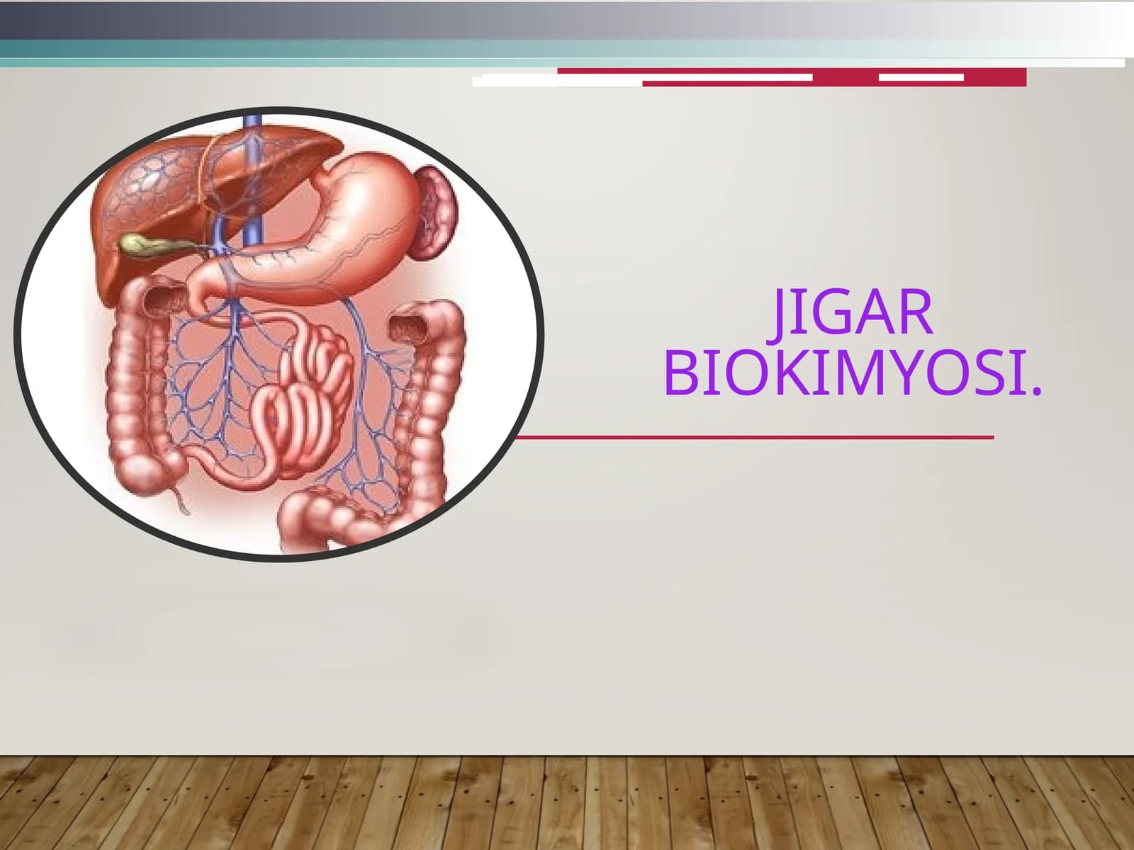 JIGAR biokimyosi