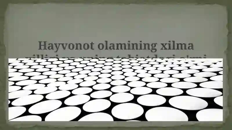 Hayvonot olami xilma-xilligi va uning tabiatdagi o'rni