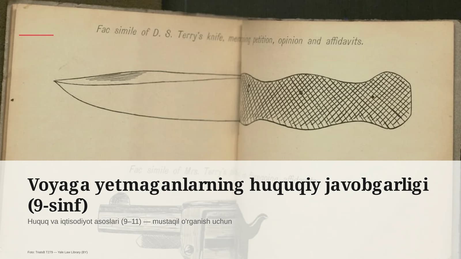 Huquq va iqtisodiyot asoslari (9–11)