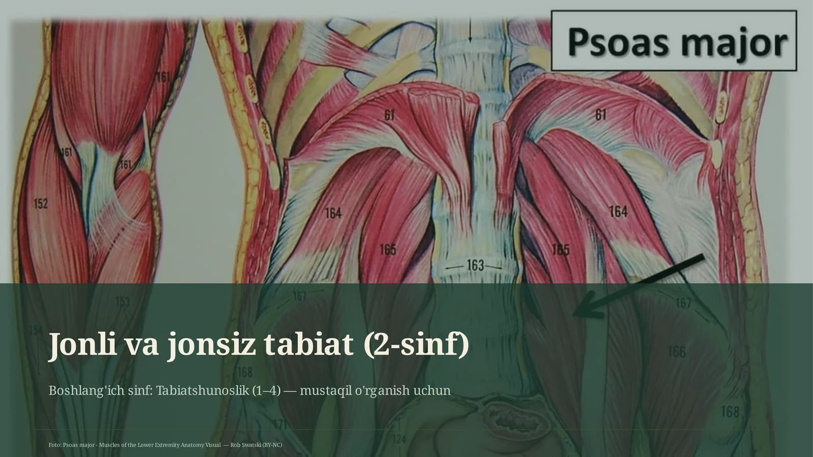 Jonli va jonsiz tabiat (2-sinf)