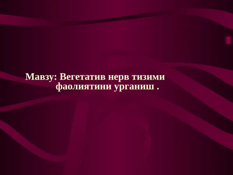 Вегетатив невртизм фаолияти