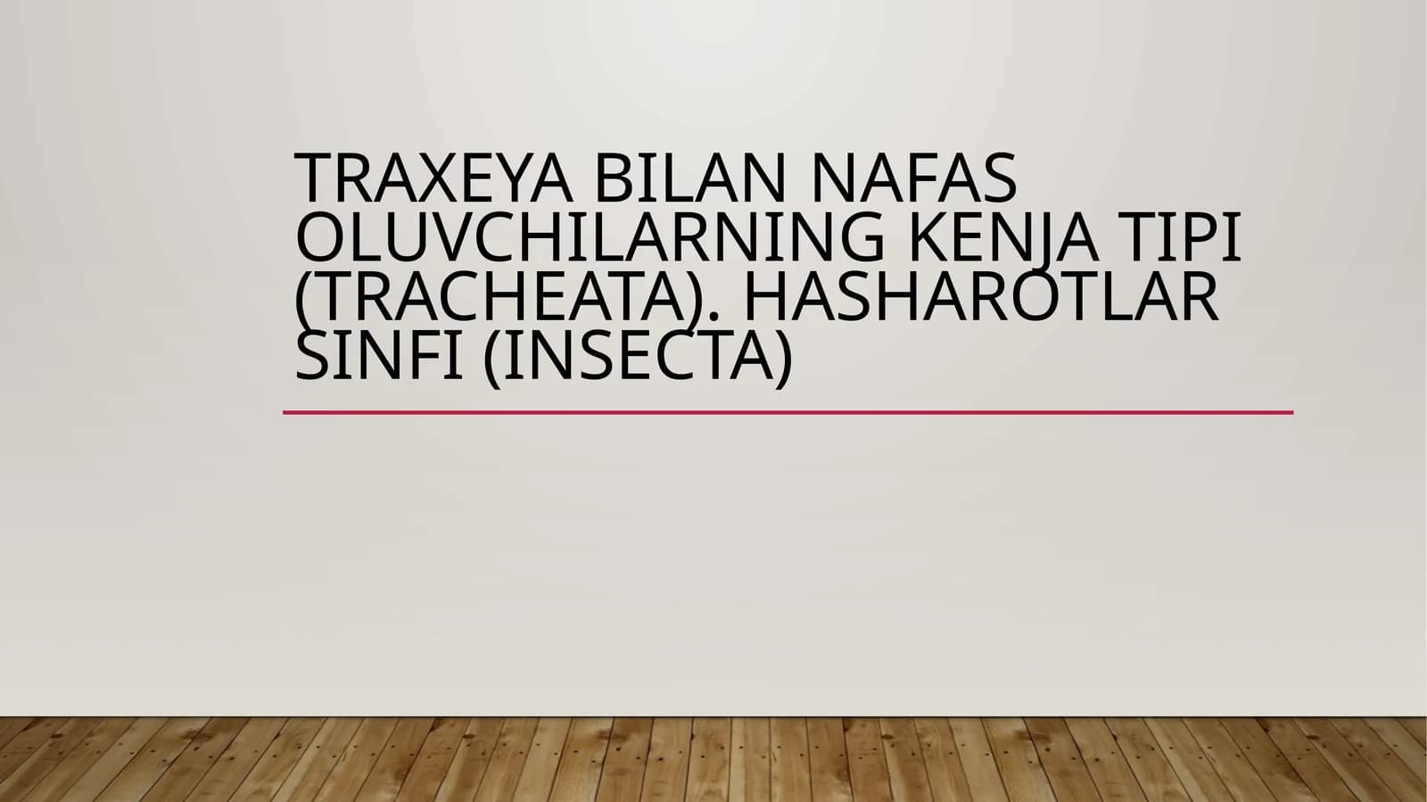 Traxeya bilan nafas oluvchilarning kenja tipi (tracheata). Hasharotlar sinfi (insecta)