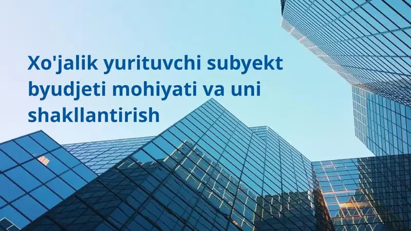 Xo'jalik yurituvchi subyekt byudjeti mohiyati va uni shakllantirish