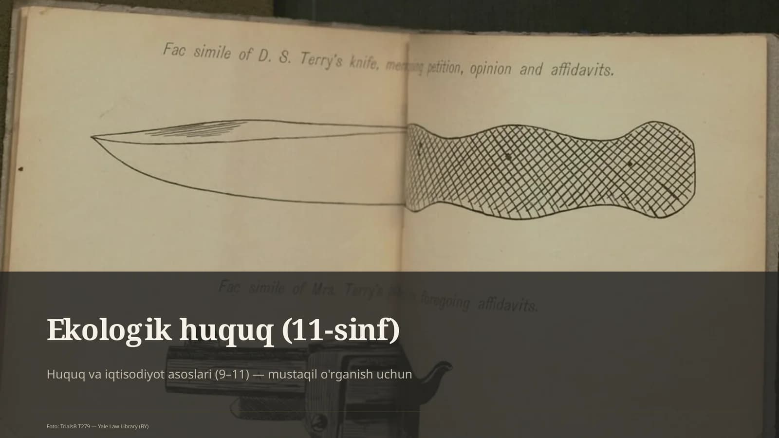 Ekologik huquq (11-sinf)