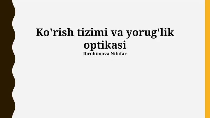 Ko'rish tizimi va yorug'lik optikasi