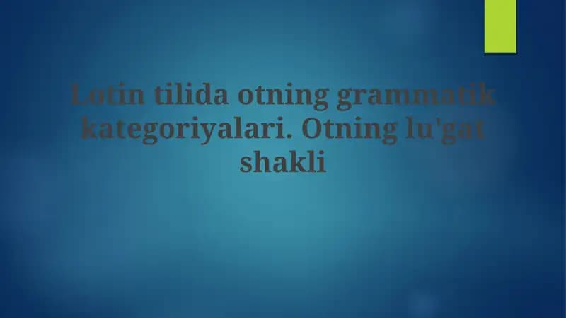 Otning grammatik kategoriyalari