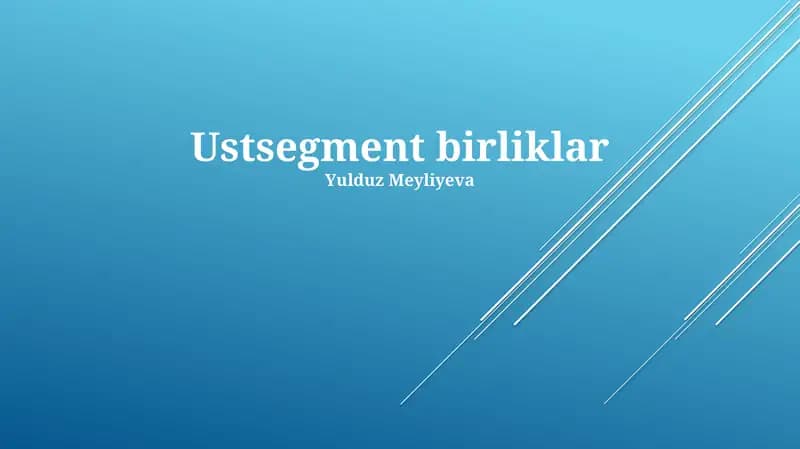 Ustsegment birliklar