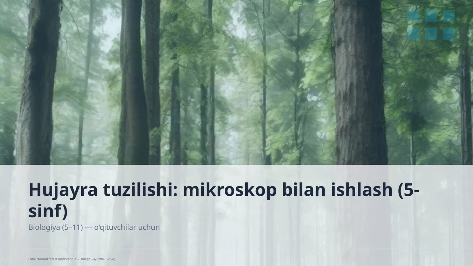 Hujayra tuzilishi: mikroskop bilan ishlash (5-sinf)