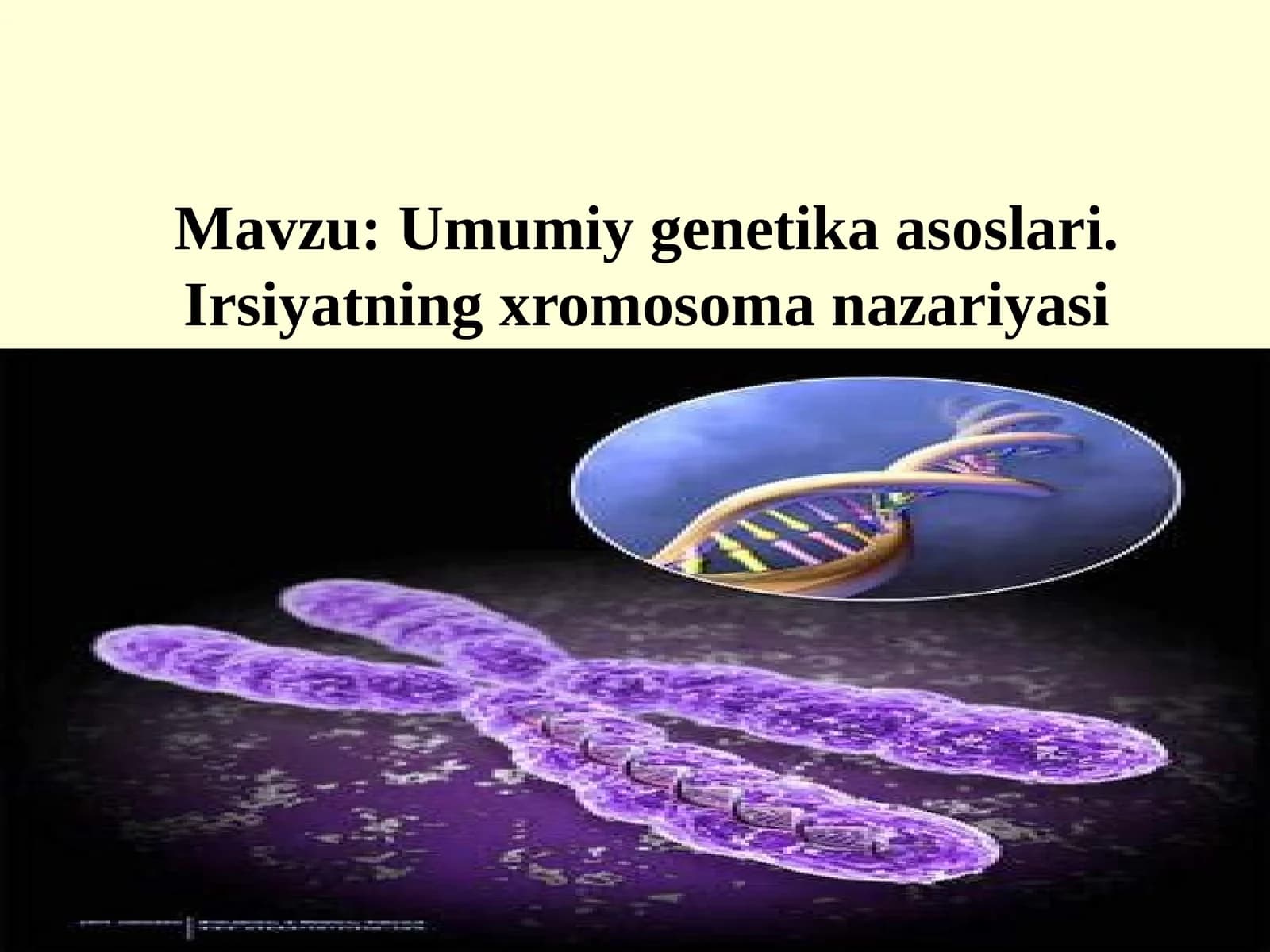 Umumiy genetika asoslari.Irsiyatning xromosoma nazariyasi