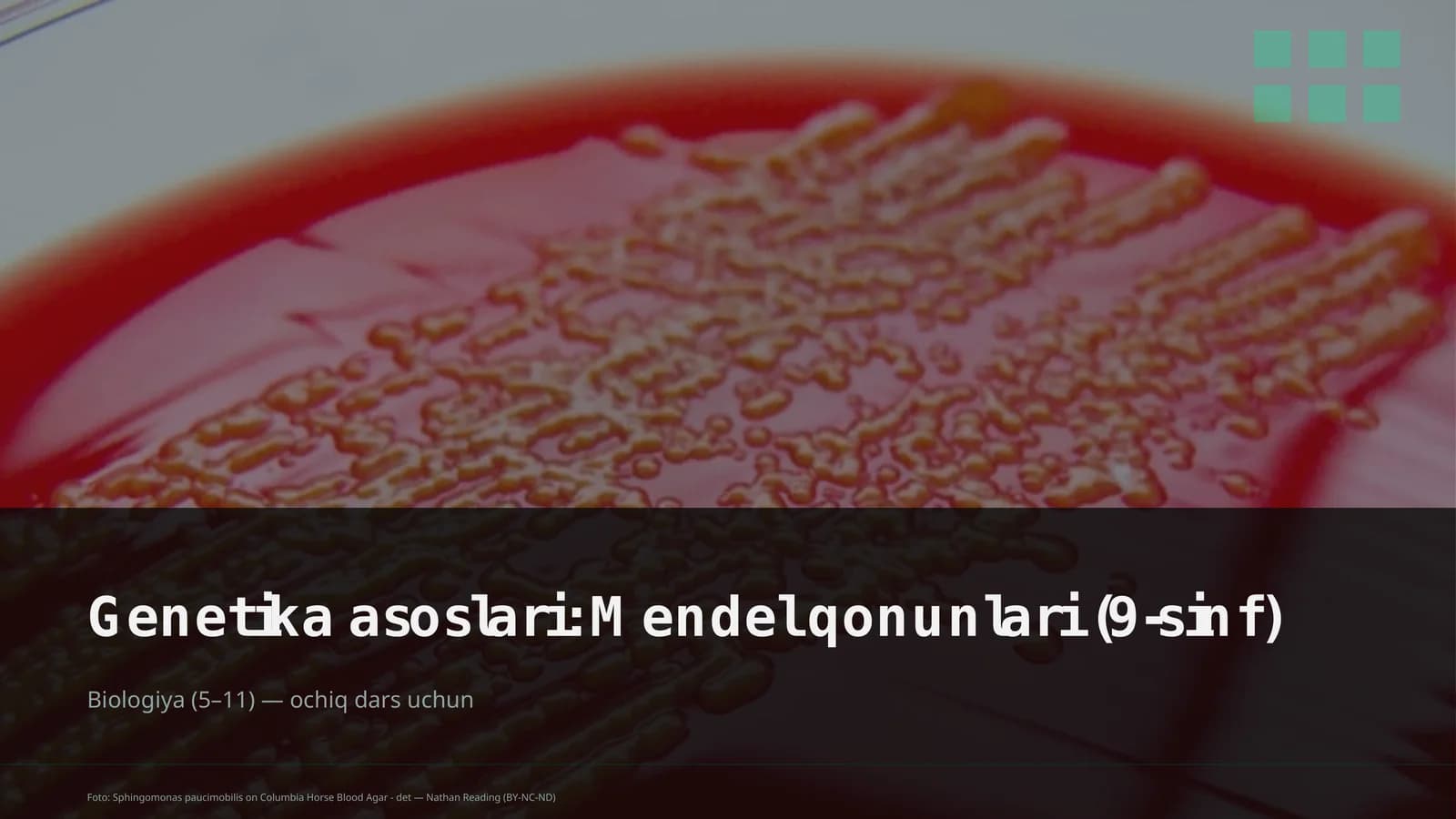 Genetika asoslari: Mendel qonunlari (9-sinf)