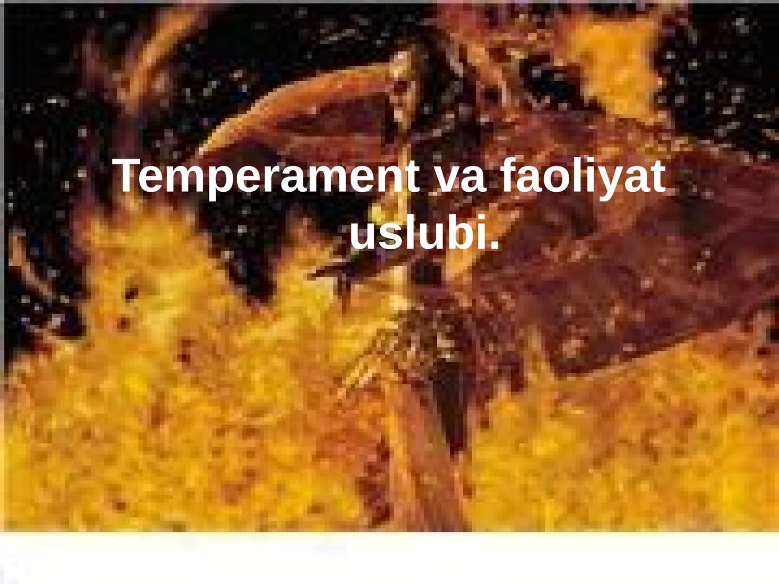 Temperament va faoliyat uslubi