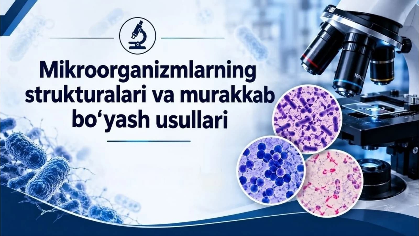 Bakteriya hujayrasi tuzilishi
