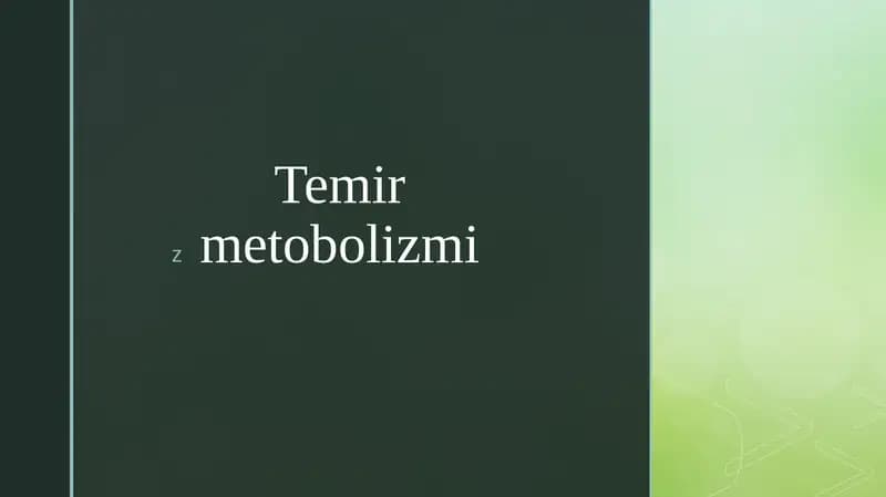 Temir metabolizmi