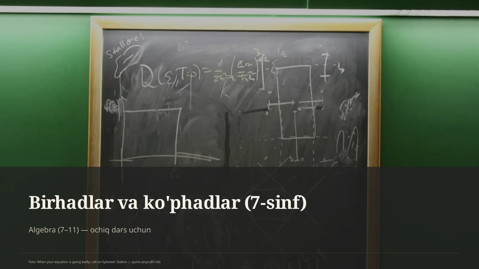 Birhadlar va ko'phadlar (7-sinf)