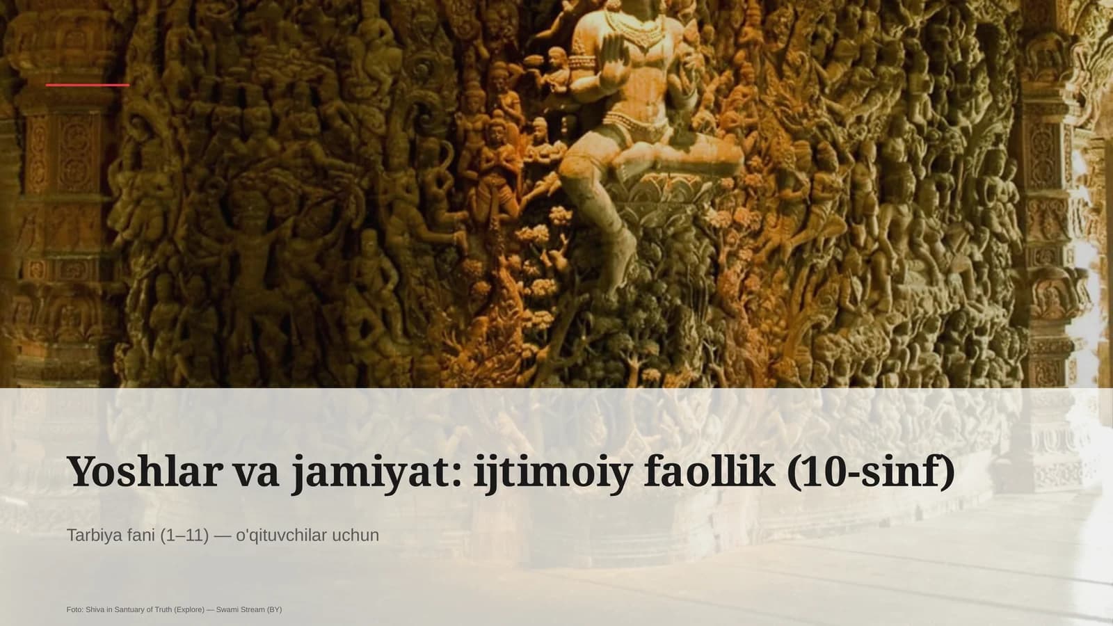 Yoshlar va jamiyat: ijtimoiy faollik (10-sinf)