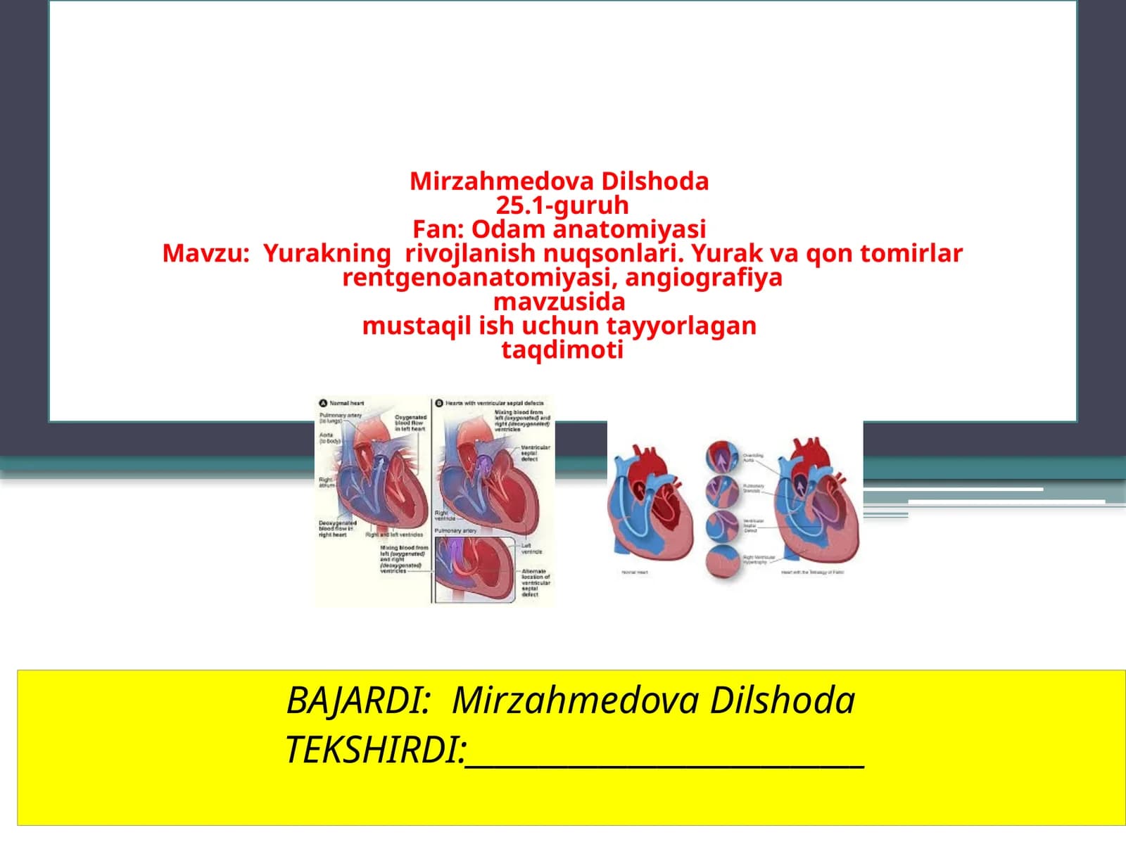Yurakning Rivojlanishi Nuqsonlari