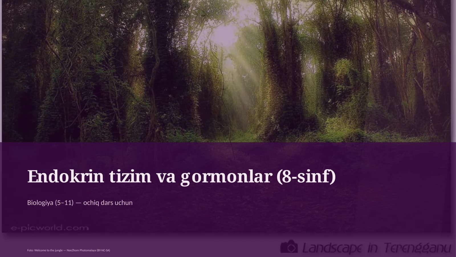 Endokrin tizim va gormonlar (8-sinf)