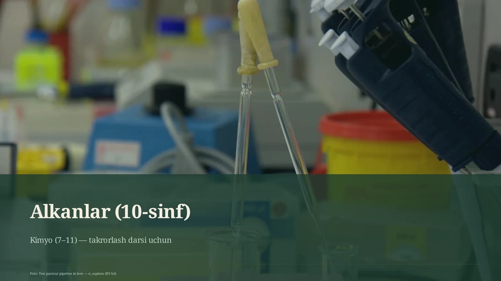 Alkanlar (10-sinf)