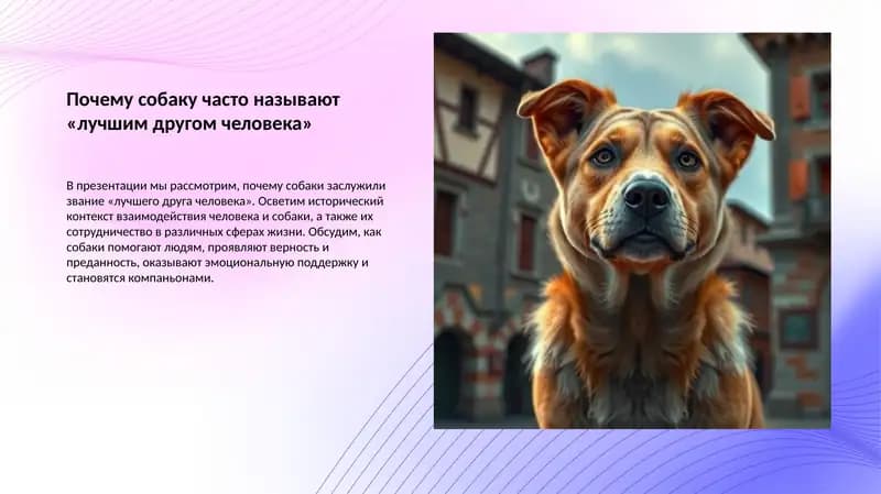 Почему собаку часто называют «лучшим другом человека»