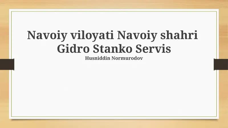 Gidro Stanko Servis