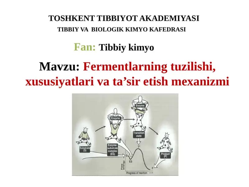 Fermentlarning tuzilishi, xususiyatlari va ta’siretish mexanizmi