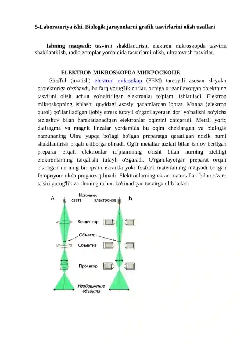 Biologik jarayonlarni grafik tasvirlarini olish usullari