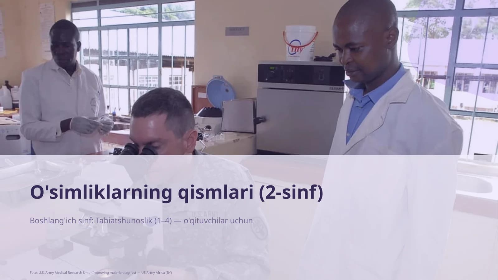 O'simliklarning qismlari (2-sinf)