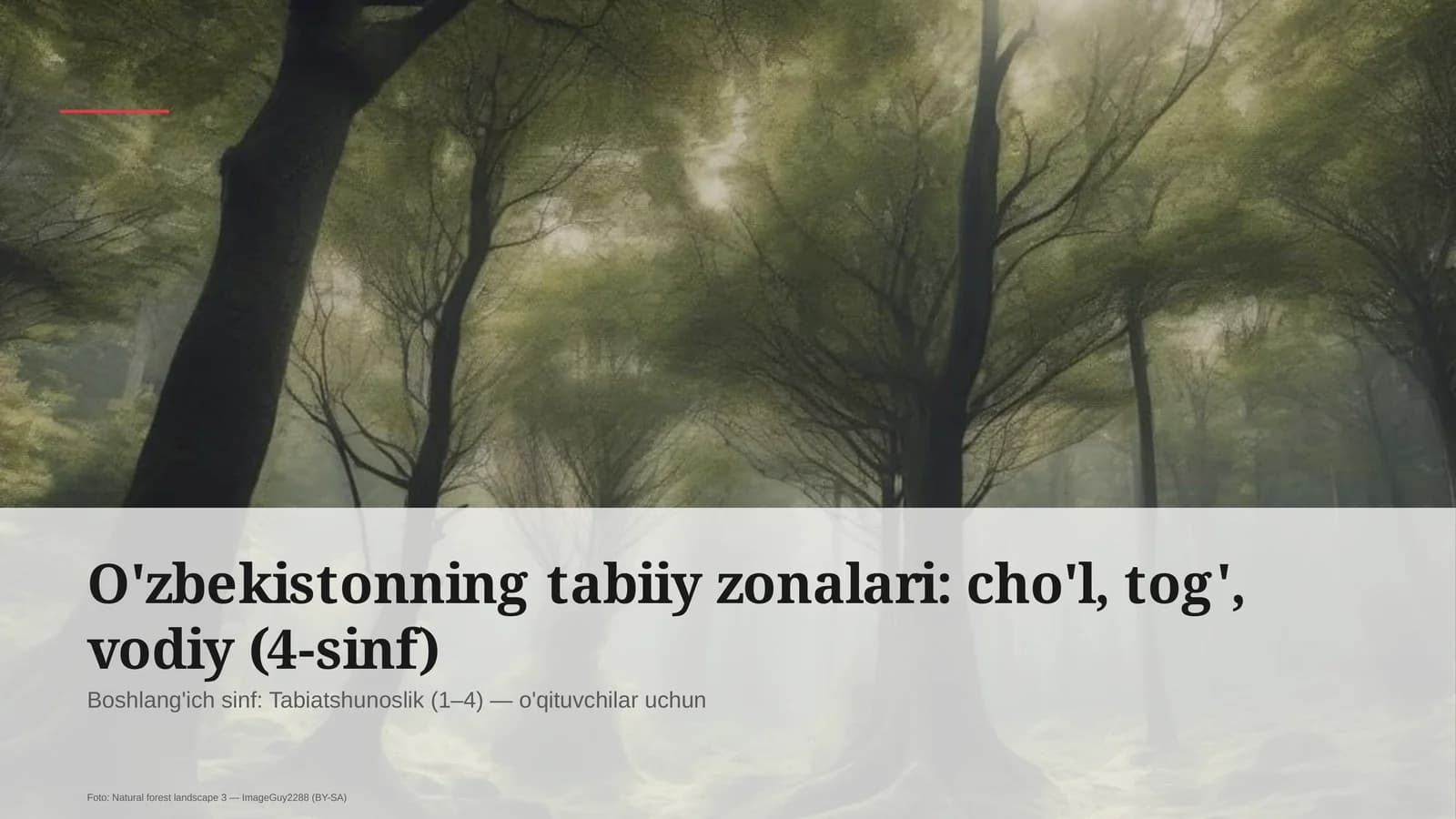 O'zbekistonning tabiiy zonalari: cho'l, tog', vodiy (4-sinf)
