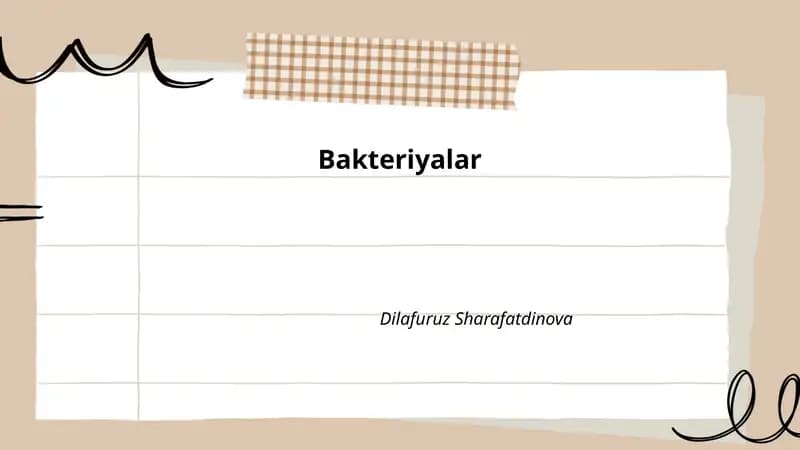 Bakteriyalar